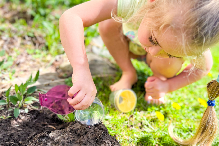 what counts as science for homeschool