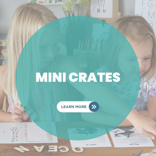 Mini Crates - Knowledge Crates