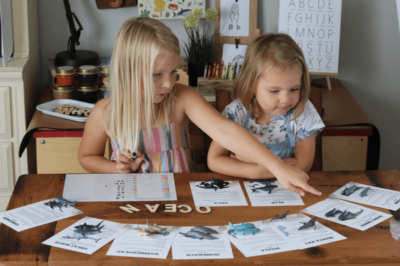 8 Benefits of Hands-On Homeschool Unit Studies - Knowledge Crates