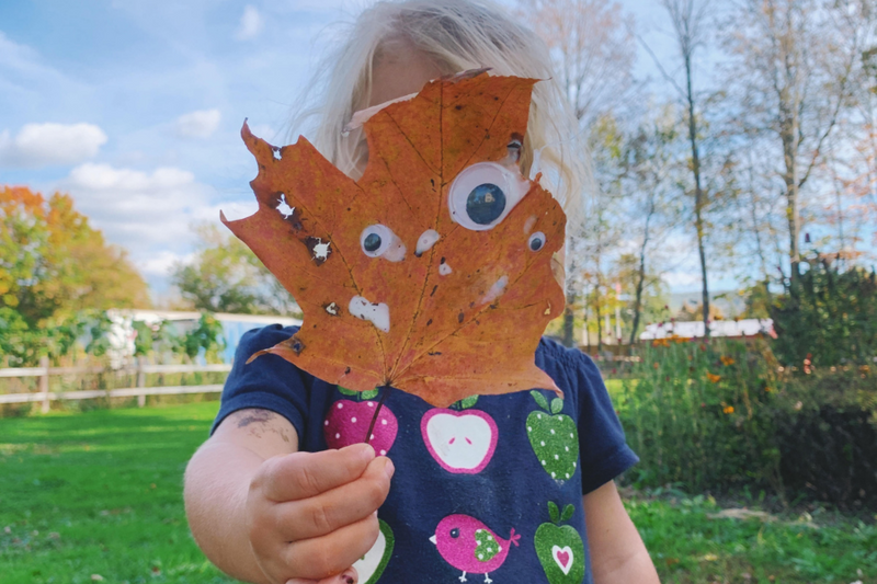 Fall Nature Activities for Kids