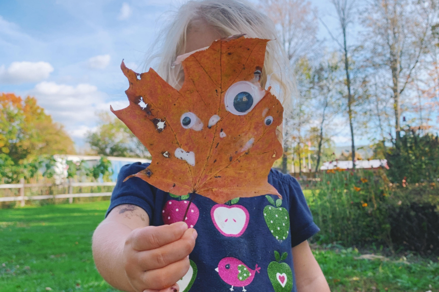 Fall Nature Activities for Kids