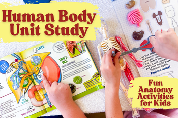 Human Body Activities for Kids: A Complete Homeschool Unit Study - Knowledge Crates