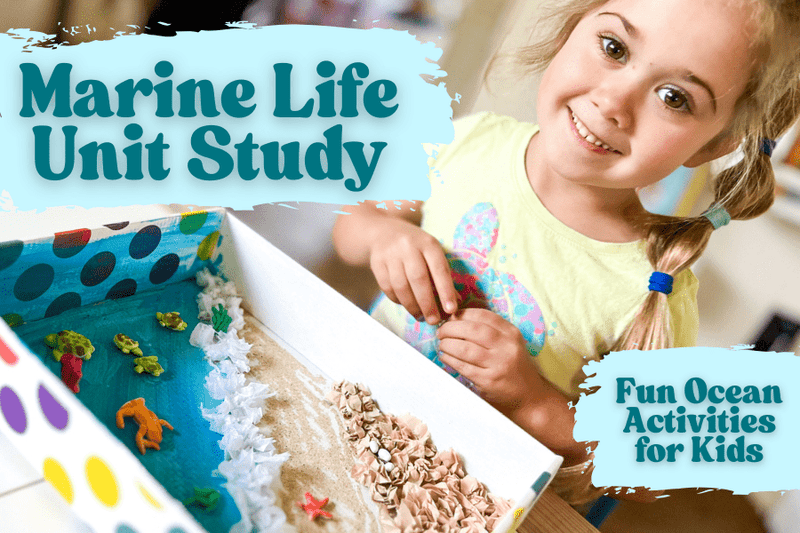 Marine Life Unit Study: Fun Ocean Activities for Preschool and Early Elementary Kids - Knowledge Crates