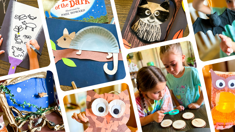 Nocturnal Animal Activities for Kids: A Fun Fall Homeschool Theme - Knowledge Crates