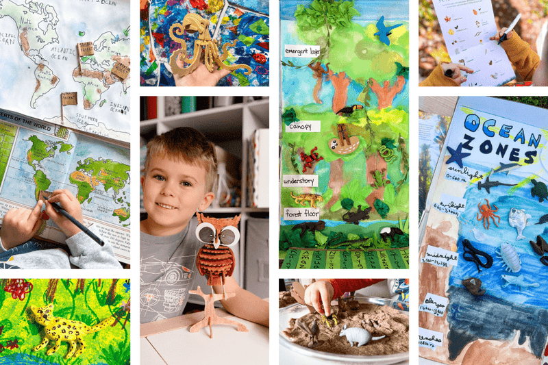 Social Studies Unit Studies for Homeschool: Creative Ideas to Explore the World - Knowledge Crates