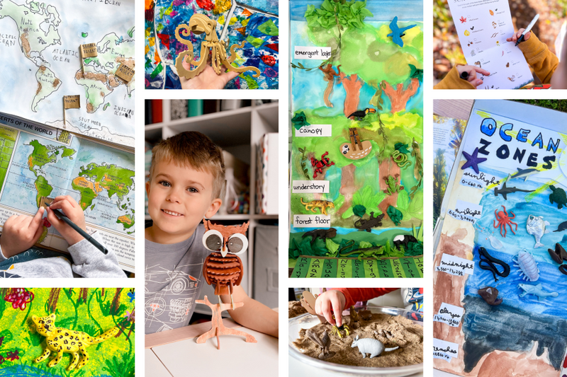 Social Studies Unit Studies for Homeschool