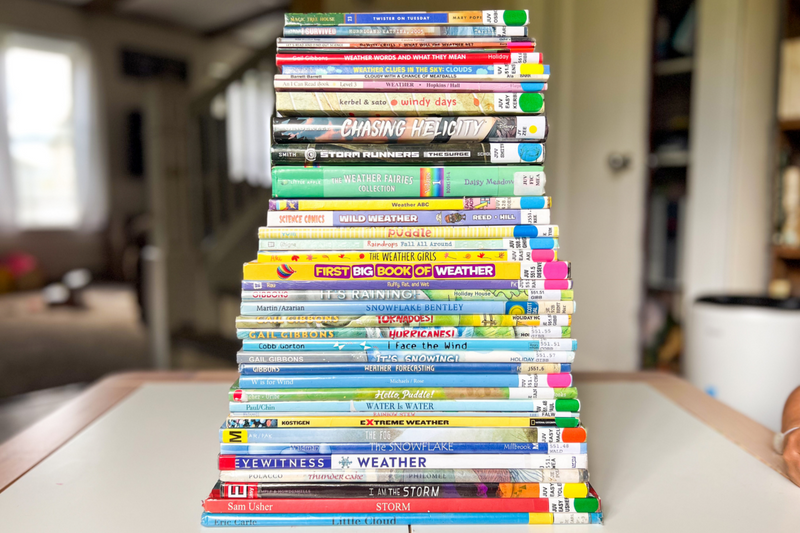weather books library bookstack