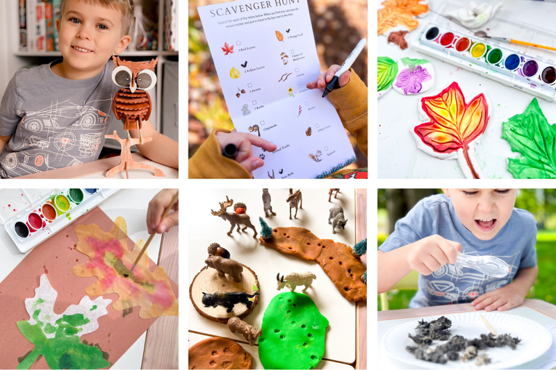 Woodland Activities: Hands-On Learning and Nature-Inspired Fun - Knowledge Crates