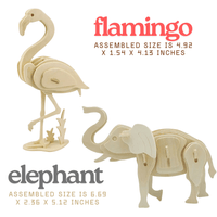 Animals of the World Activity Kit | Knowledge Crates - Knowledge Crates