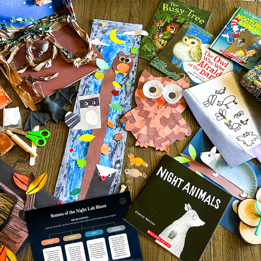 Companion Crate: Exploring Fall with Nocturnal Animals - Extra Supplies - Knowledge Crates