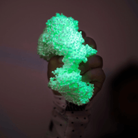 Educational Insights Playfoam Glow in the Dark 8 - Pack, Fidget & Sensory Toy - Knowledge Crates
