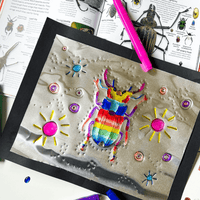 Explore Insects Elementary Unit Study - Knowledge Crates