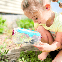 Explore Insects Elementary Unit Study - Knowledge Crates