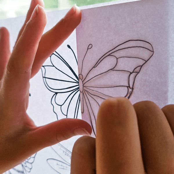 Explore Insects Elementary Unit Study - Knowledge Crates