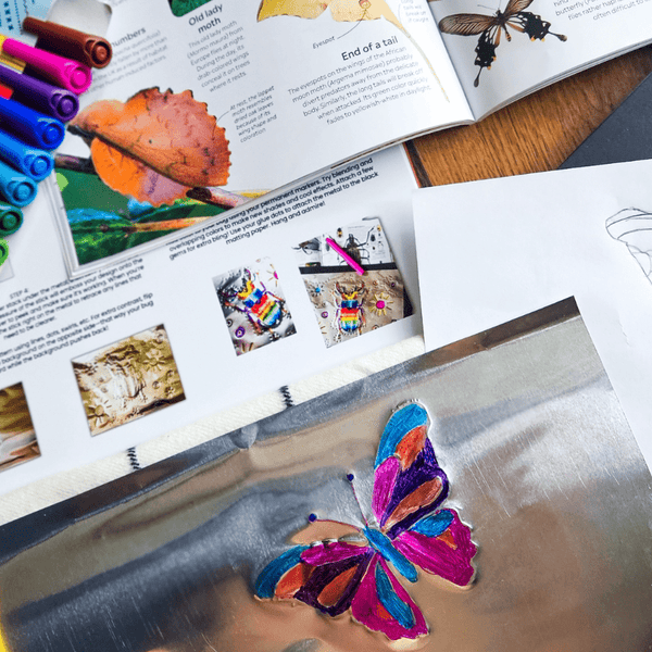 Explore Insects Elementary Unit Study - Knowledge Crates
