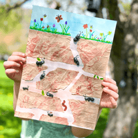 Explore Insects Elementary Unit Study - Knowledge Crates
