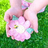 Explore Insects Elementary Unit Study - Knowledge Crates
