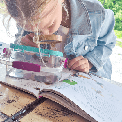 Explore Insects Elementary Unit Study - Knowledge Crates