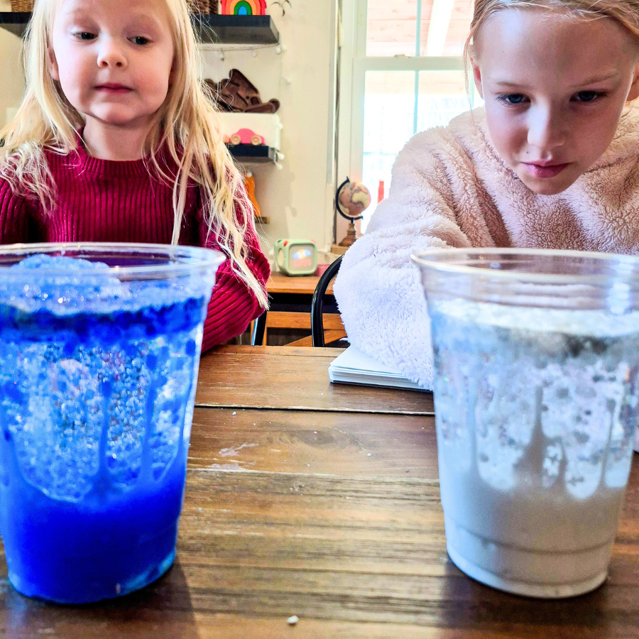 Explore Polar Habitats - Elementary Homeschool Unit Study | Knowledge Crates - Knowledge Crates