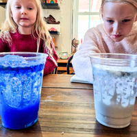 Explore Polar Habitats - Elementary Homeschool Unit Study | Knowledge Crates - Knowledge Crates