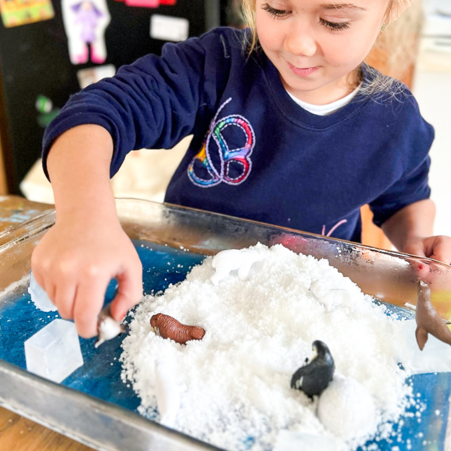Explore Polar Habitats Elementary Homeschool Unit Study