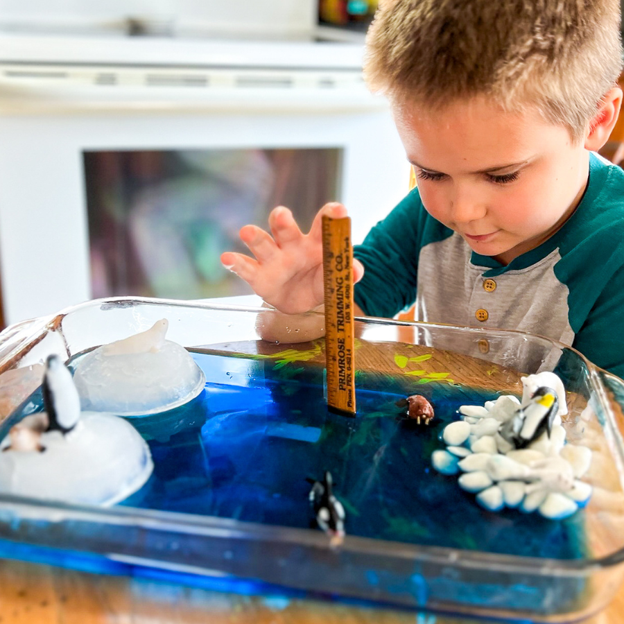 Explore Polar Habitats Elementary Homeschool Unit Study