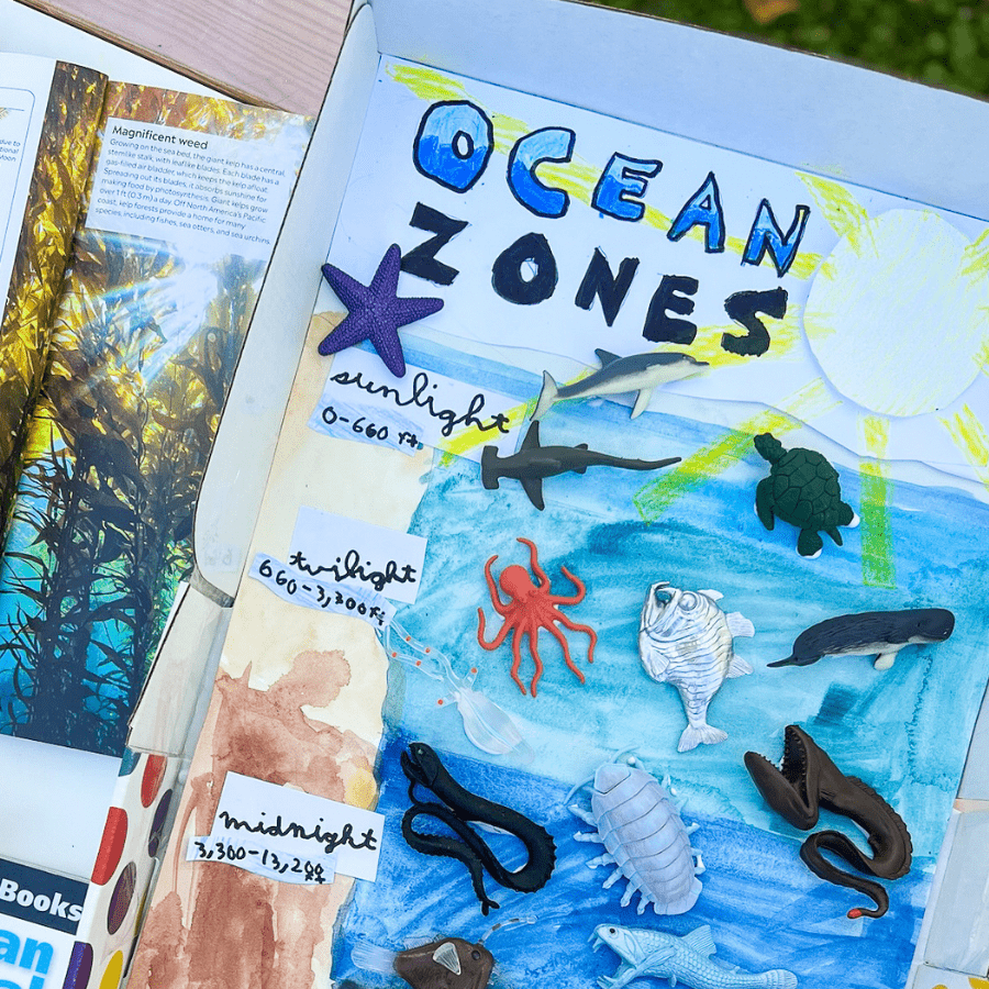 Ocean Unit Study for Elementary Homeschool Ocean Zones Diorama