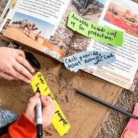 Explore the Desert: Elementary - Knowledge Crates