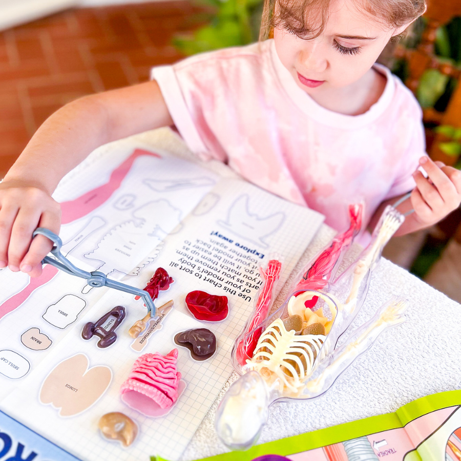 Explore the Human Body — Elementary Unit Study | Knowledge Crates - Knowledge Crates