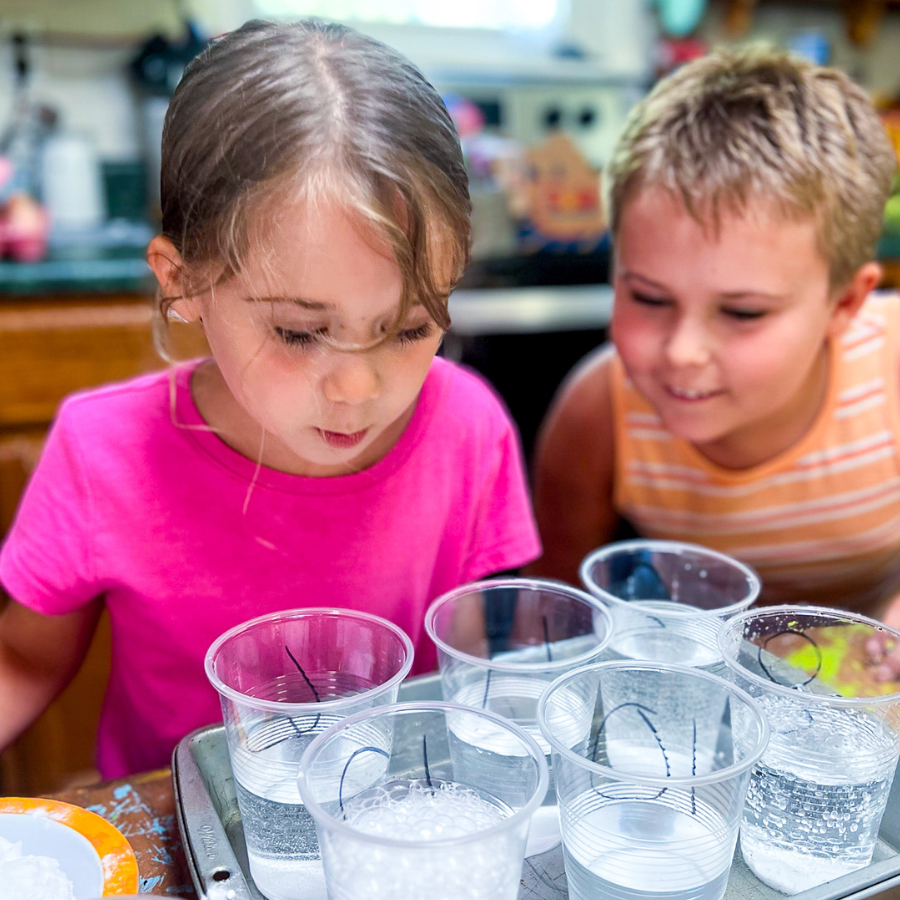 Explore the Human Body — Elementary Unit Study | Knowledge Crates - Knowledge Crates