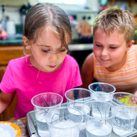 Explore the Human Body — Elementary Unit Study | Knowledge Crates - Knowledge Crates