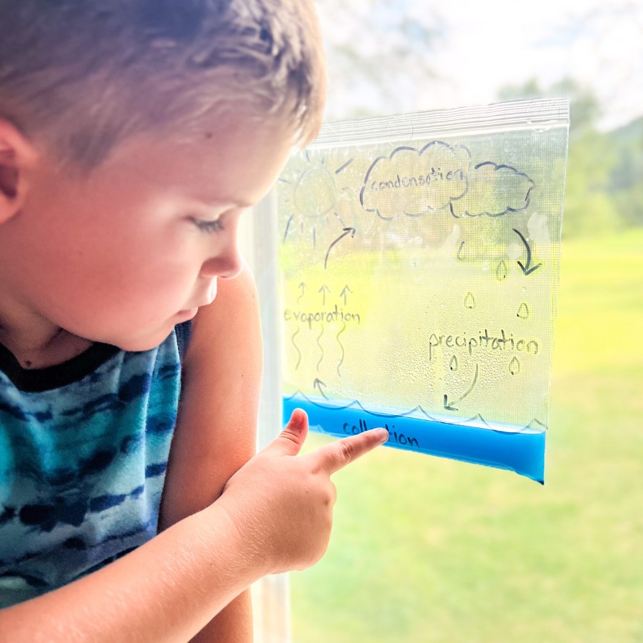 Explore Weather - Elementary Homeschool Unit Study | Knowledge Crates - Knowledge Crates