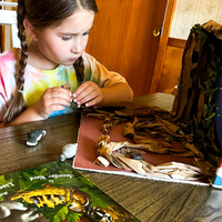 Exploring Fall with Nocturnal Animals — Early Elementary Unit Study | Knowledge Crates - Knowledge Crates