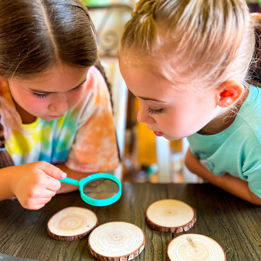 Exploring Fall with Nocturnal Animals — Early Elementary Unit Study | Knowledge Crates - Knowledge Crates