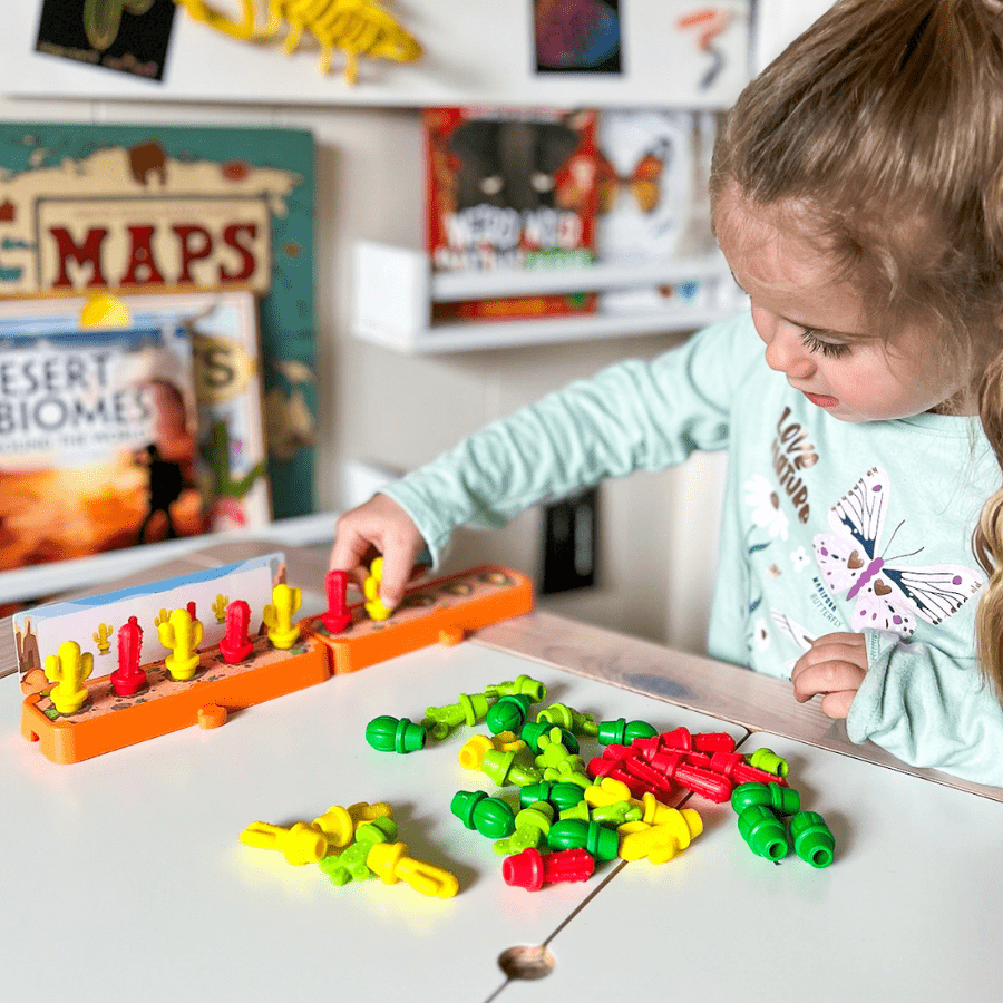 hand2mind Cactus Counting Desert Math Activity Set - Knowledge Crates