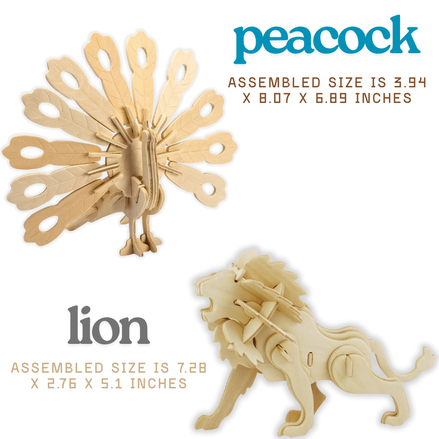 Zoo Adventures Activity Kit | Knowledge Crates